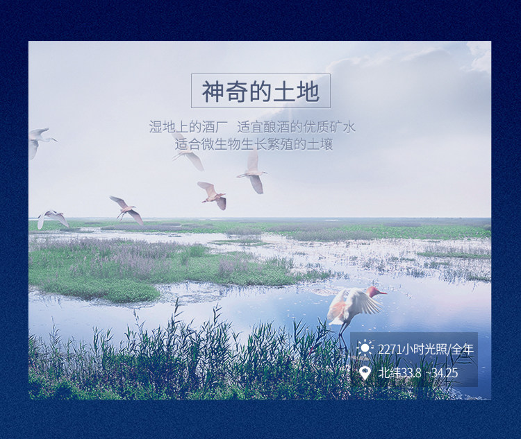 洋河蓝色经典梦之蓝梦9 52°洋河M9 500ml 绵柔浓香型-武汉美沃利 洋河蓝色经典梦之蓝梦9 52°洋河M9 500ml 绵柔浓香型-武汉美沃利